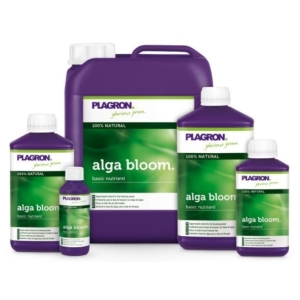 ALGA BLOOM PLAGRON