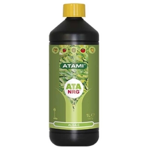 ALGA C ATA NRG