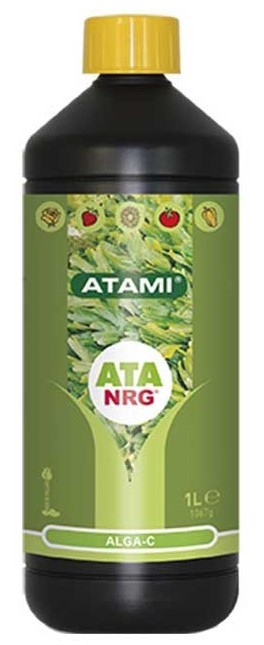 ALGA C ATA NRG