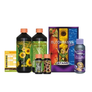 ATA/TERRA BLOOMBASTIC BOX
