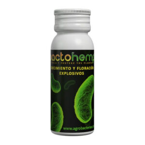 Alternative view of BACTOHEMP AGROBACTERIAS