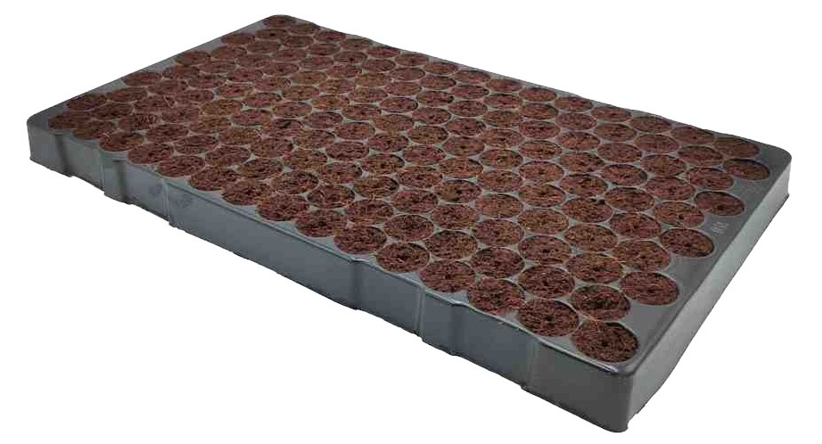 BANDEJA 150 EASY CLONE PRO
