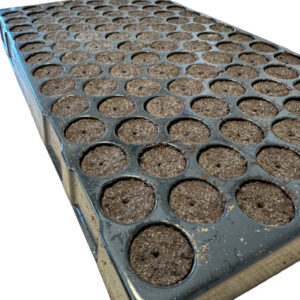 BANDEJA PLUG TRAY 104 EASY CLONE