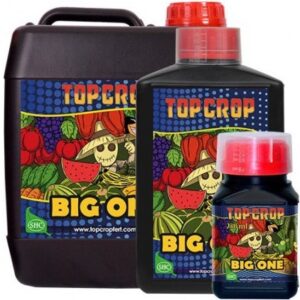 BIG ONE TOP CROP