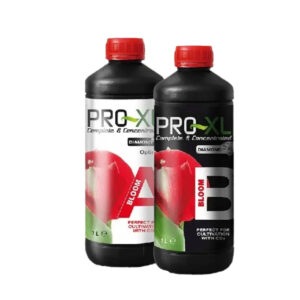 BLOOM A+B PRO-XL