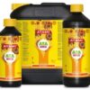 BLOOM C ATA NRG