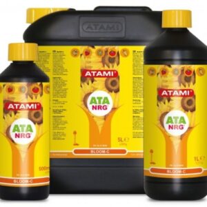 BLOOM C ATA NRG