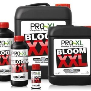 BLOOM XXL PRO-XL