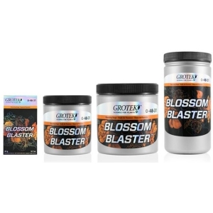 BLOSSOM BLASTER GROTEK