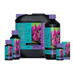 BLOSSOM BUILDER B´CUZZ