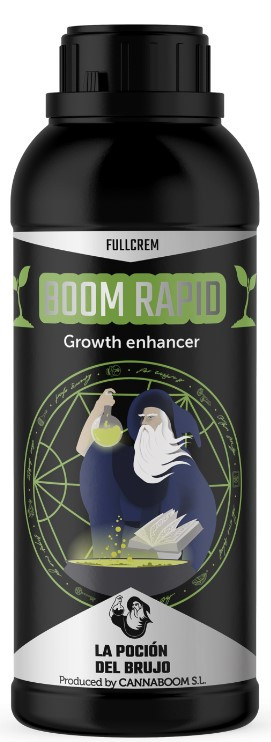 BOOM RAPID