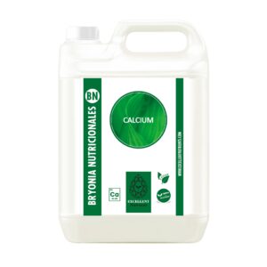CALCIUM (BRYONIA NUTRICIONALES)