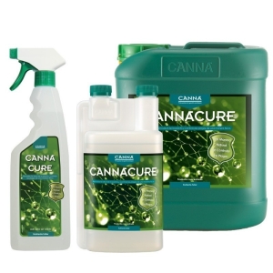 CANNA CURE