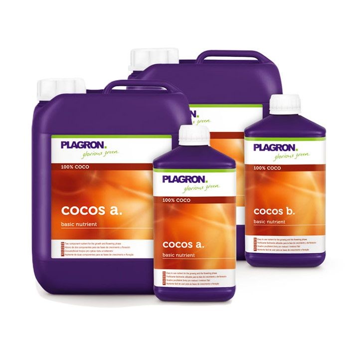 COCO B PLAGRON