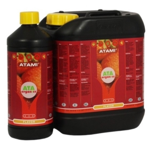 FLAVOR ATA NRG