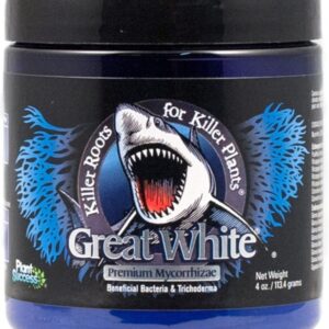 GREAT WHITE SHARK