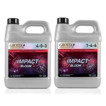 IMPACT BLOOM A+B GROTEK