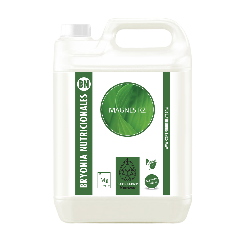 MAGNES RZ (BRYONIA NUTRICIONALES)