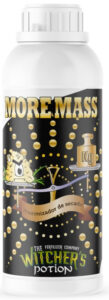 MORE MASS