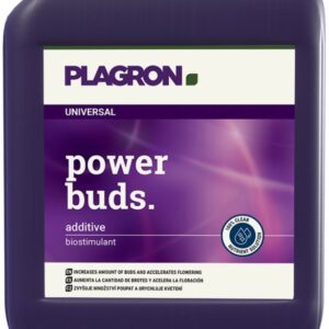 POWER BUDS PLAGRON