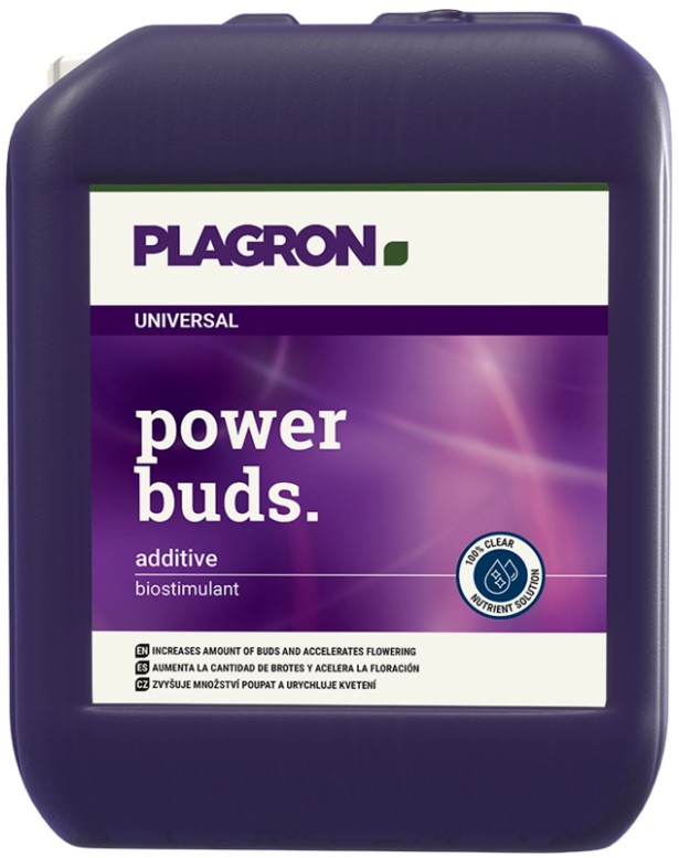 POWER BUDS PLAGRON