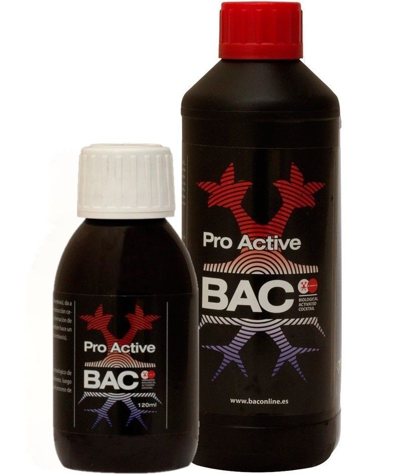 PRO-ACTIVE BAC
