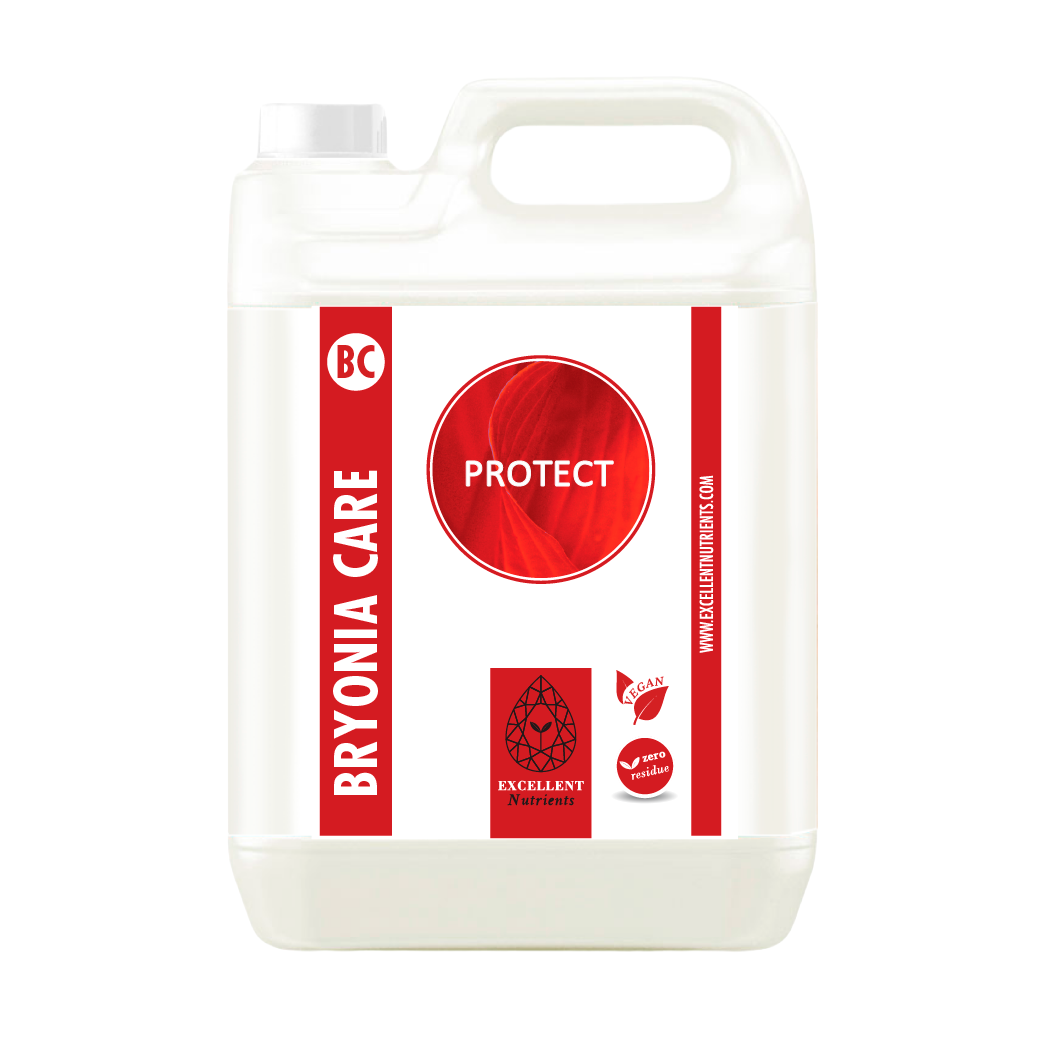 PROTECT (BRYONIA CARE)