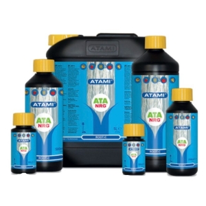 ROOT C ATA NRG