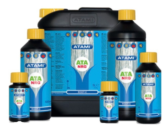 ROOT C ATA NRG