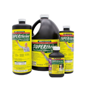 SUPER THRIVE