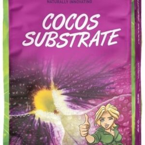 SUSTRATO COCO B´CUZZ
