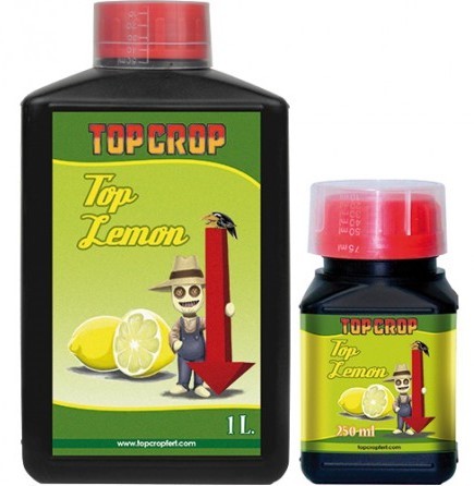 TOP LEMON (PH-) TOP CROP