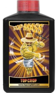 TOP MASS TOP CROP