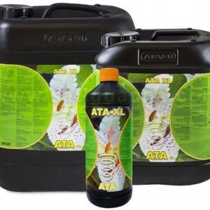 XL  ATA